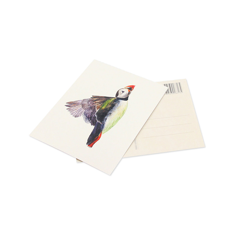 Fotografía Arte Postales