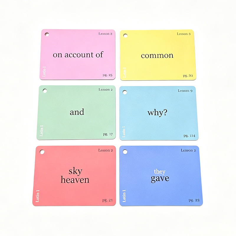 Conjunto de tarjetas flash de aprendizaje de idiomas