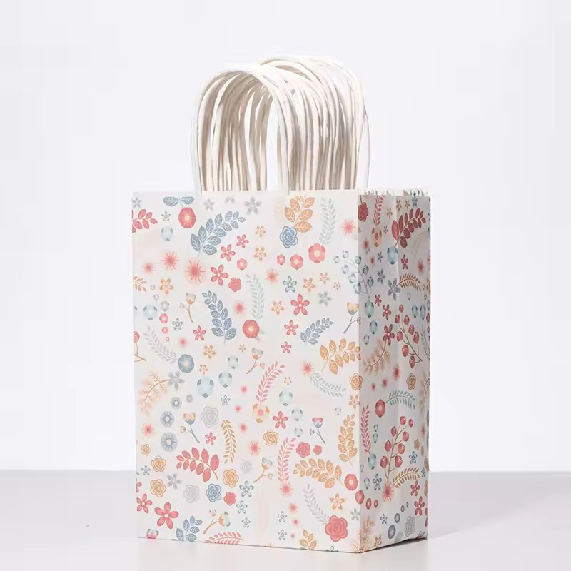 Multi Style Printed Kraft Paper Gift Shopping Bags Set